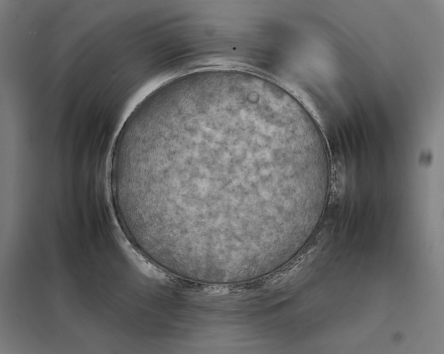 X0000097901098200803281334