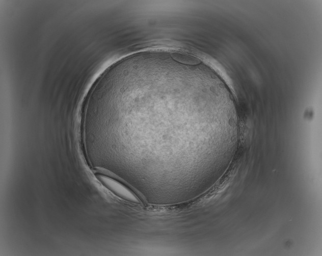 X0000097901099200803281334