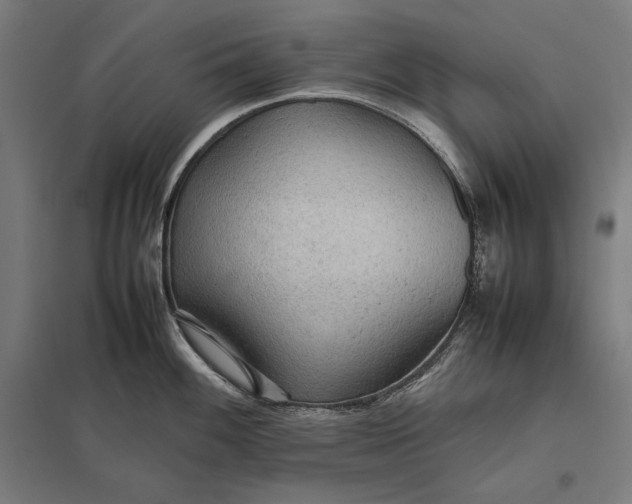 X0000097901100200803281334