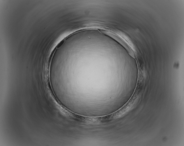 X0000097901101200803281334