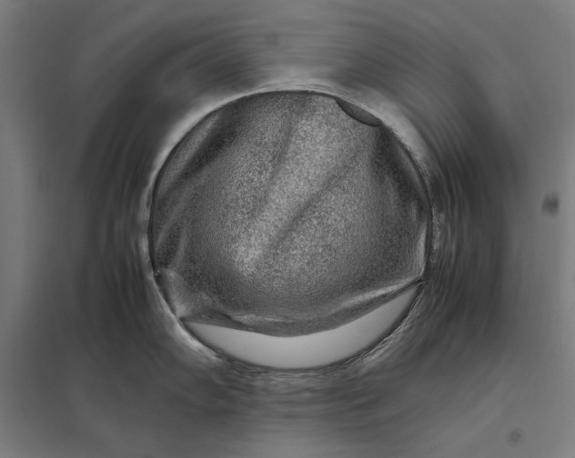 X0000097901102200803281334