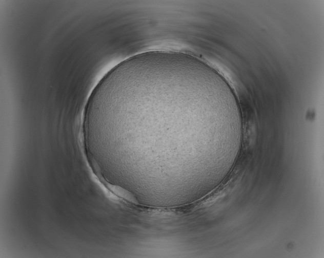 X0000097901103200803281334