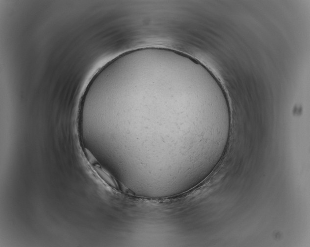 X0000097901104200803281334