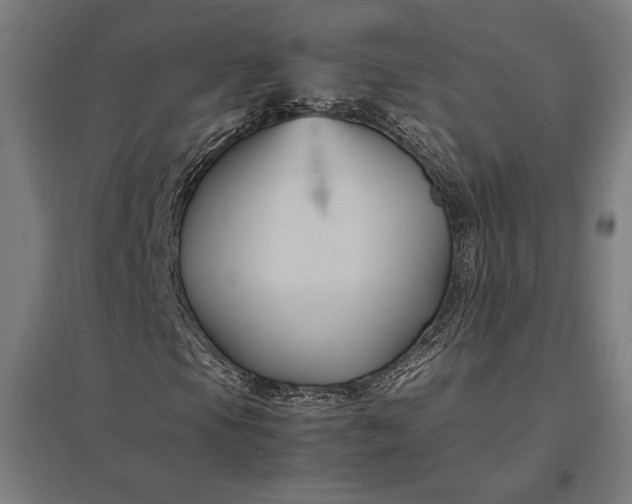 X0000097901105200803281333