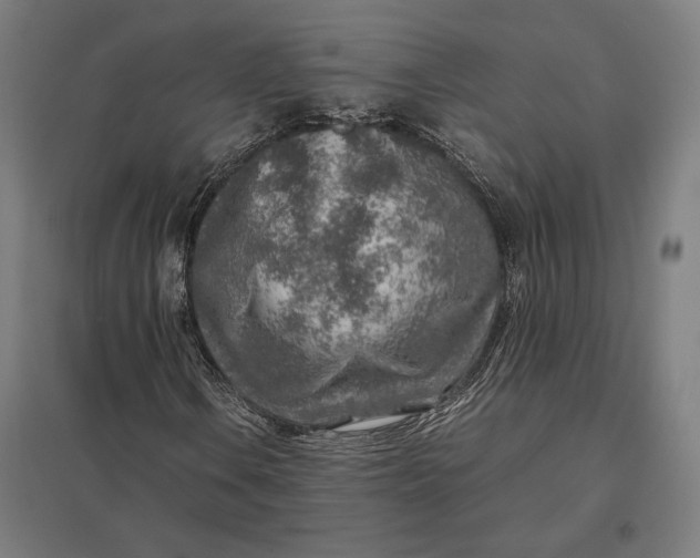 X0000097901106200803281333