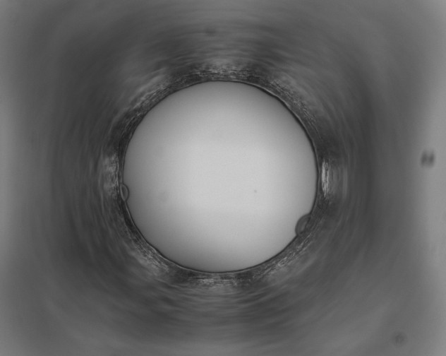 X0000097901107200803281333