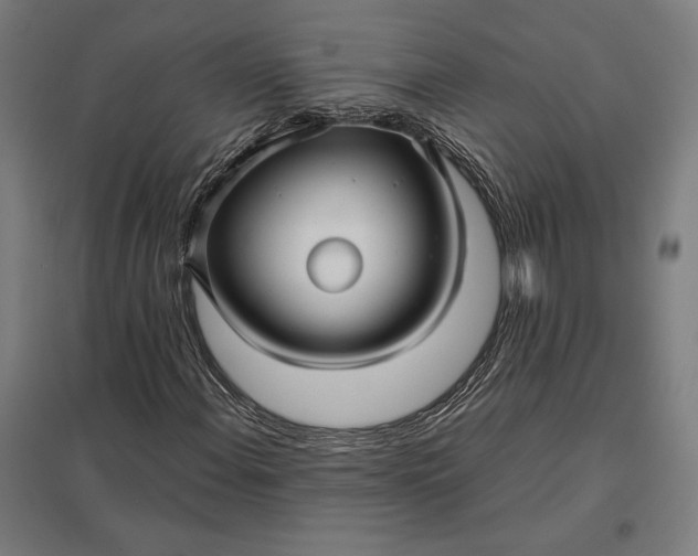 X0000097901108200803281333