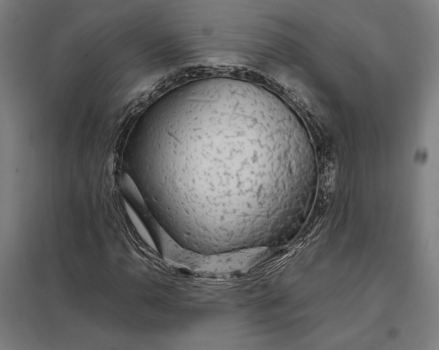 X0000097901110200803281333