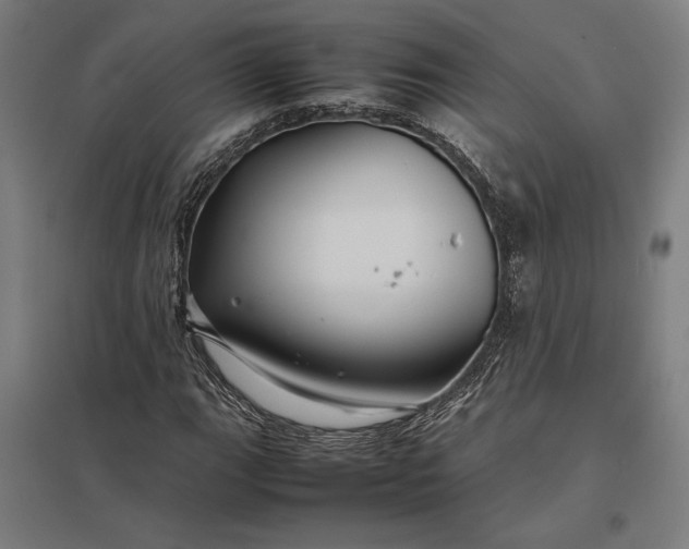 X0000097901111200803281333