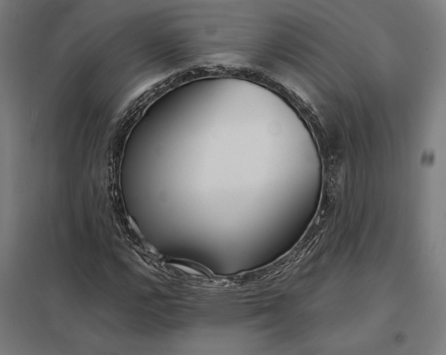 X0000097901112200803281333