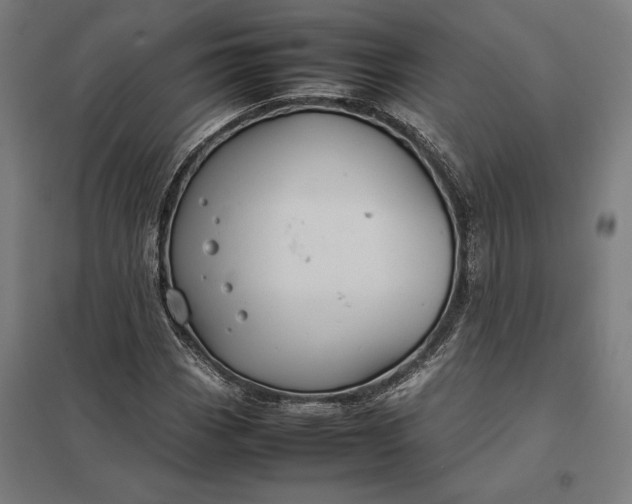 X0000097901113200803281333