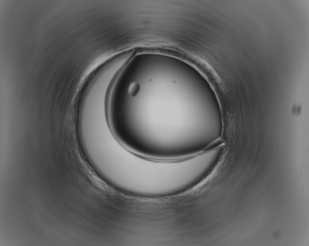 X0000097901114200803281333