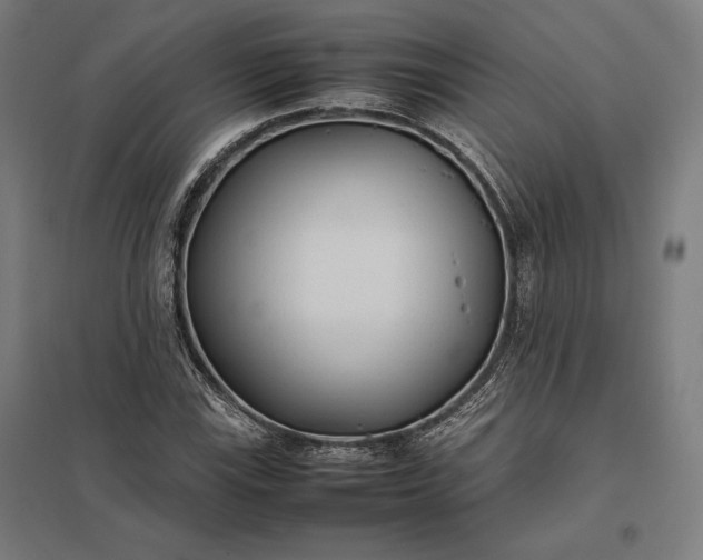 X0000097901115200803281333