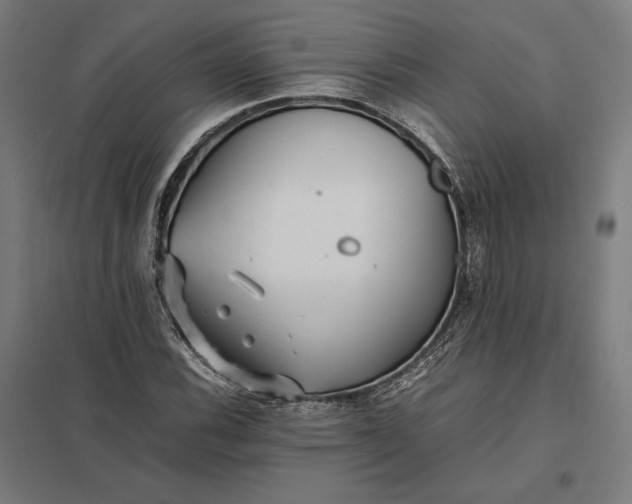 X0000097901116200803281333