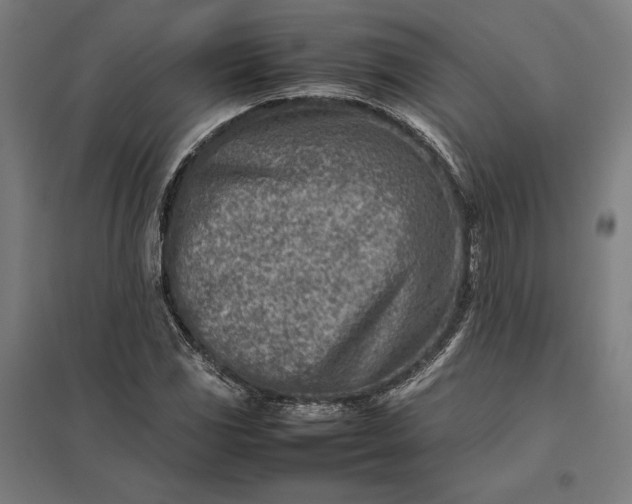 X0000097901117200803281333