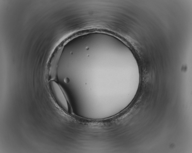 X0000097901118200803281333