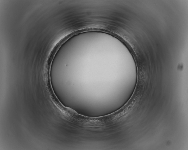 X0000097901119200803281333