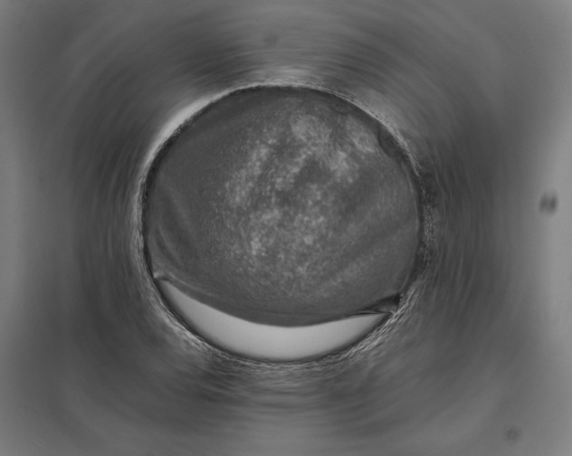 X0000097901120200803281333