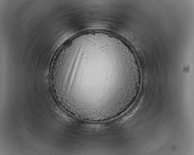 X0000097901121200803281333