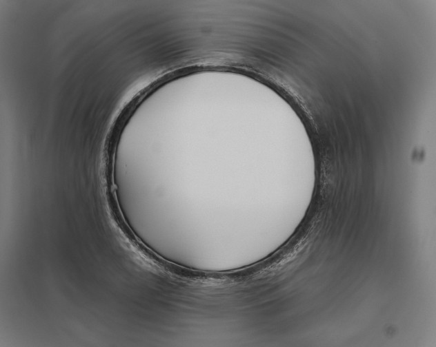 X0000097901122200803281333