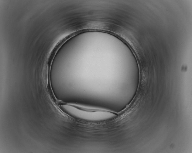 X0000097901123200803281333