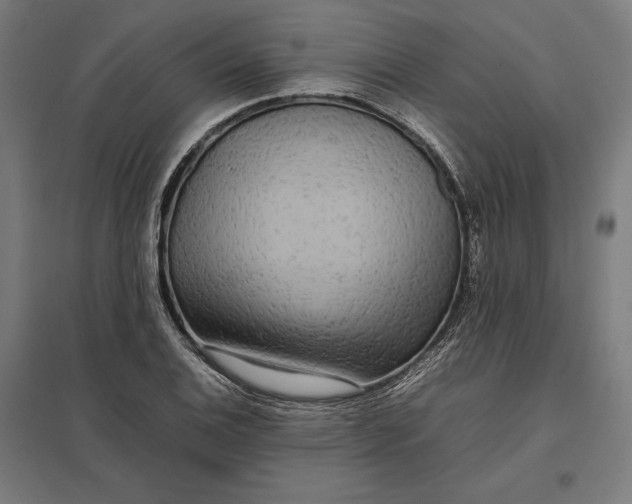 X0000097901124200803281333