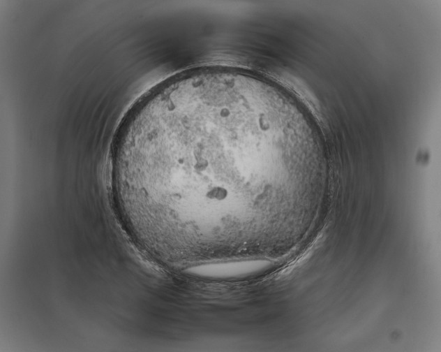 X0000097901125200803281333