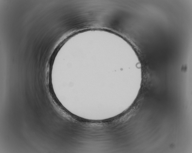 X0000097901126200803281333