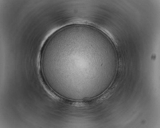 X0000097901128200803281333