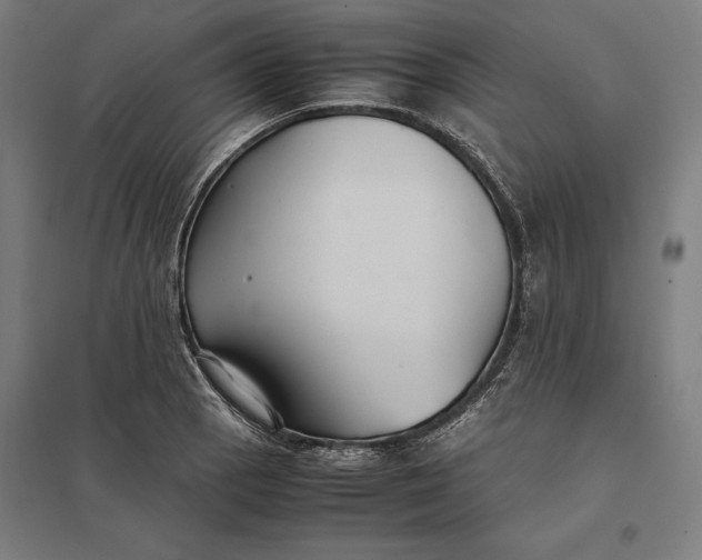 X0000097901129200803281333