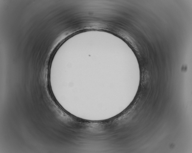 X0000097901130200803281333