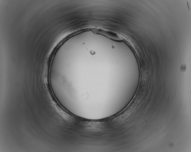 X0000097901131200803281333