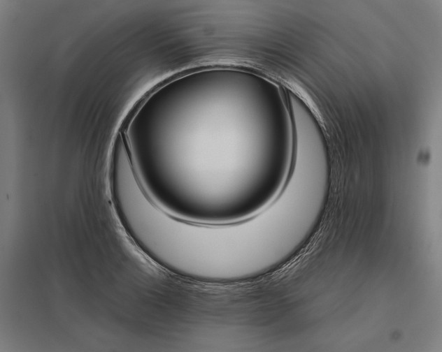 X0000097901132200803281333