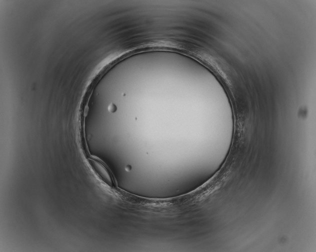 X0000097901133200803281333