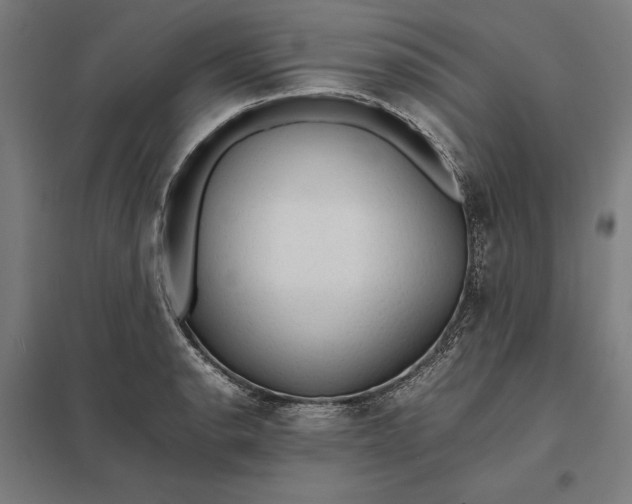 X0000097901134200803281333