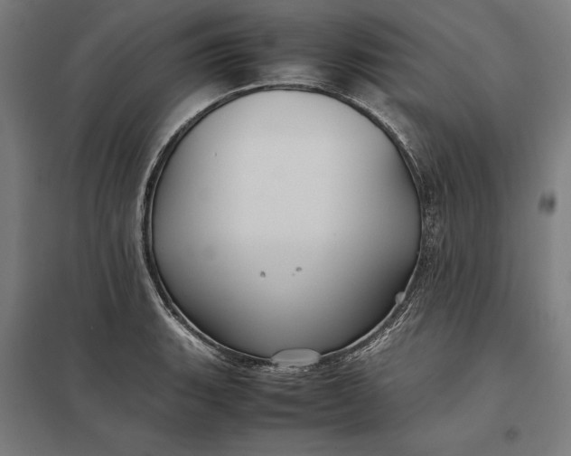 X0000097901135200803281333