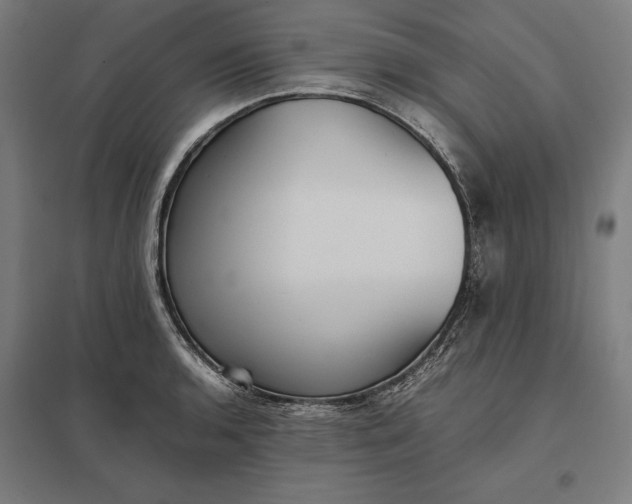 X0000097901136200803281333