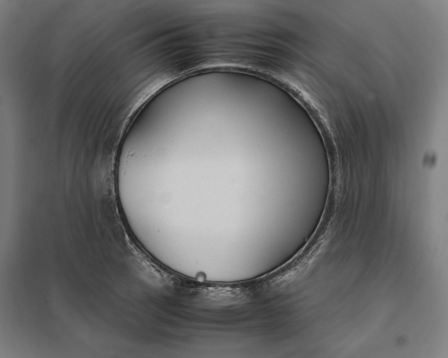 X0000097901137200803281333