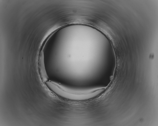 X0000097901138200803281333