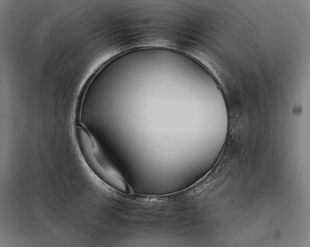 X0000097901139200803281333