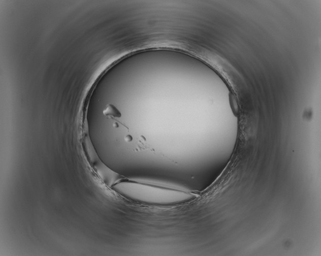 X0000097901140200803281333