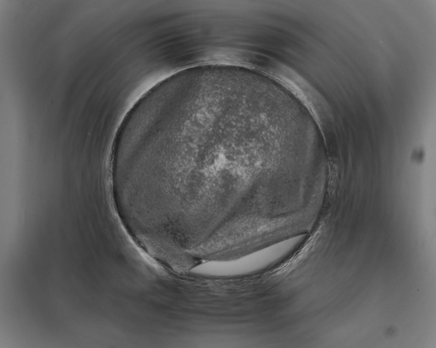 X0000097901141200803281333