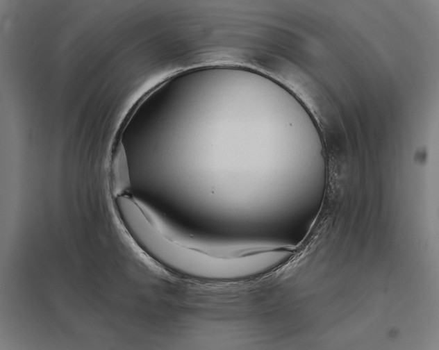 X0000097901142200803281333