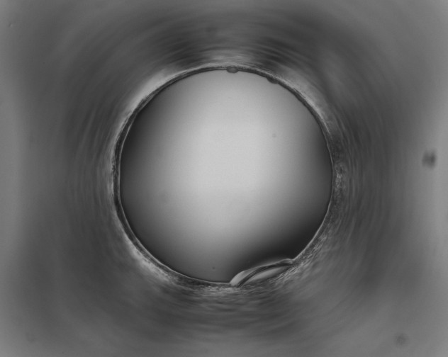 X0000097901143200803281333