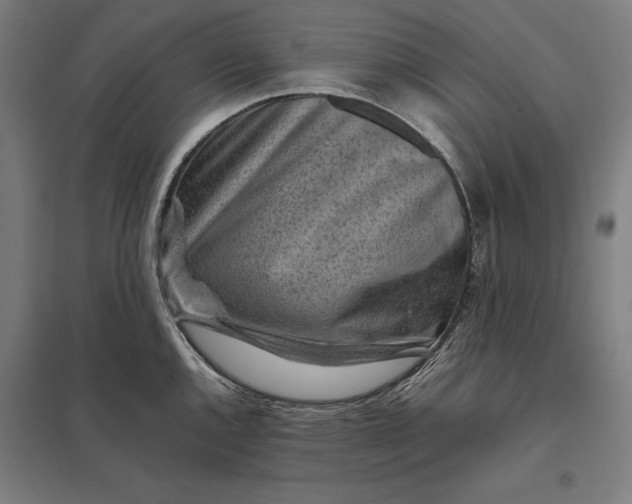 X0000097901144200803281333