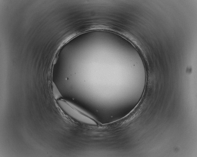 X0000097901145200803281333