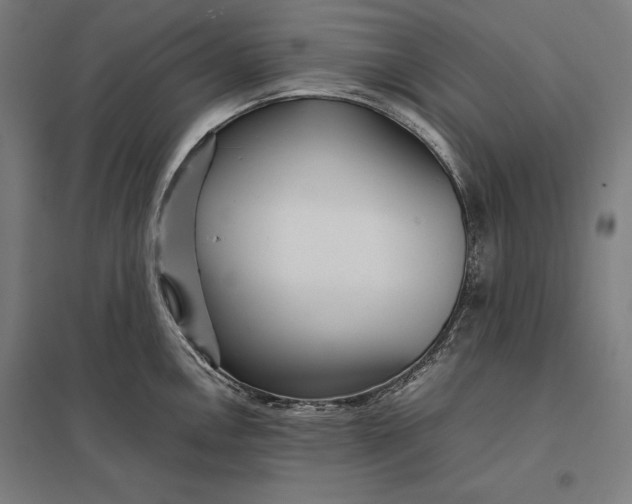 X0000097901146200803281333