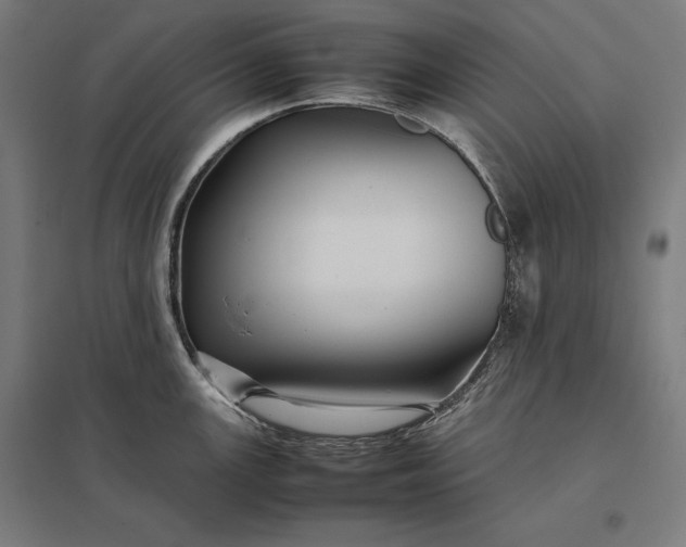 X0000097901147200803281333