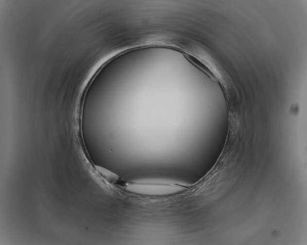 X0000097901148200803281333