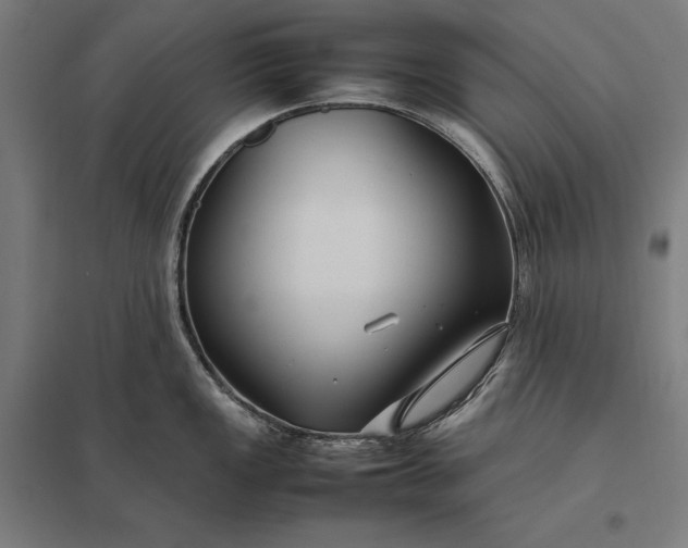 X0000097901149200803281333